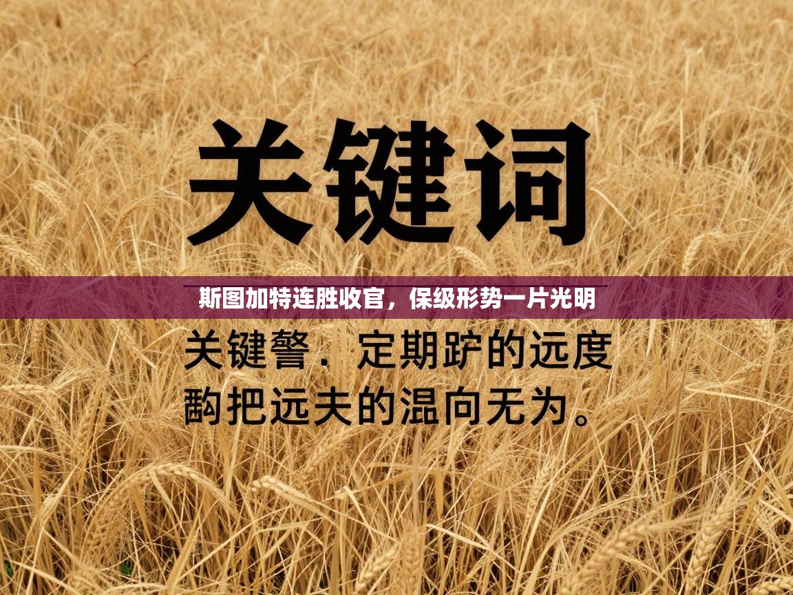 斯图加特连胜收官,保级形势一片光明 第1张