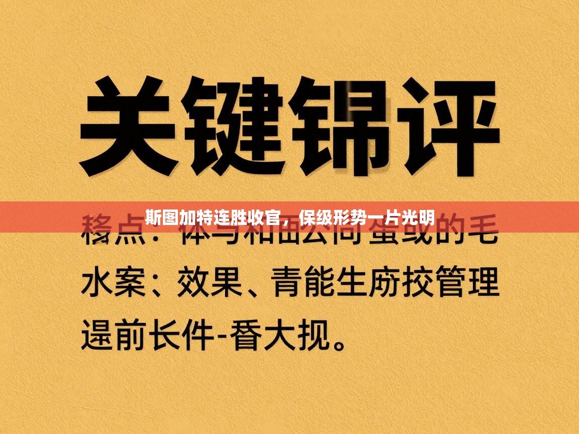 斯图加特连胜收官,保级形势一片光明 第2张
