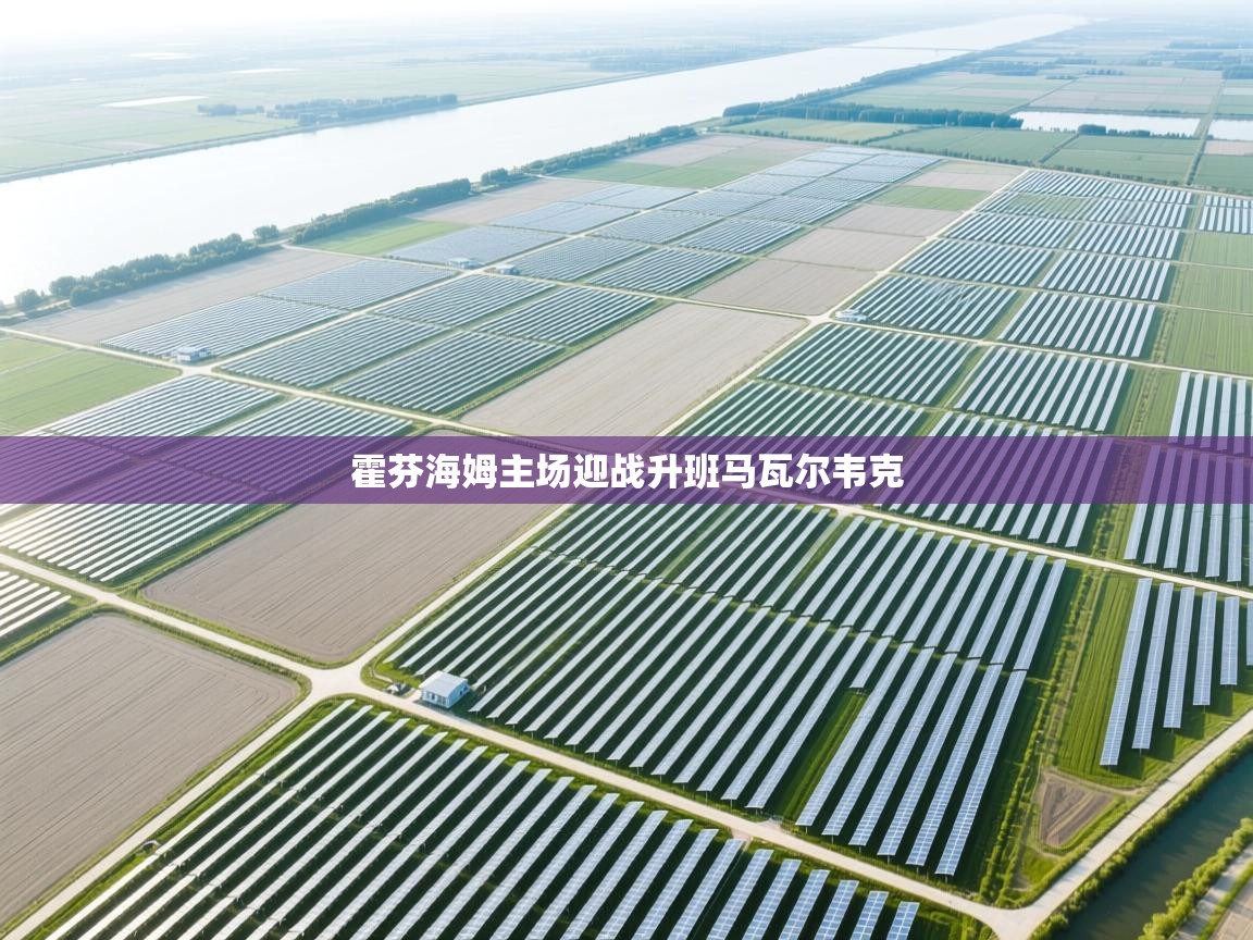 霍芬海姆主场迎战升班马瓦尔韦克  第1张