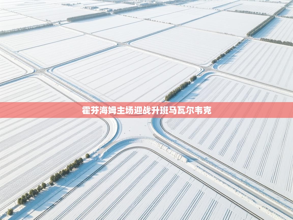 霍芬海姆主场迎战升班马瓦尔韦克  第2张