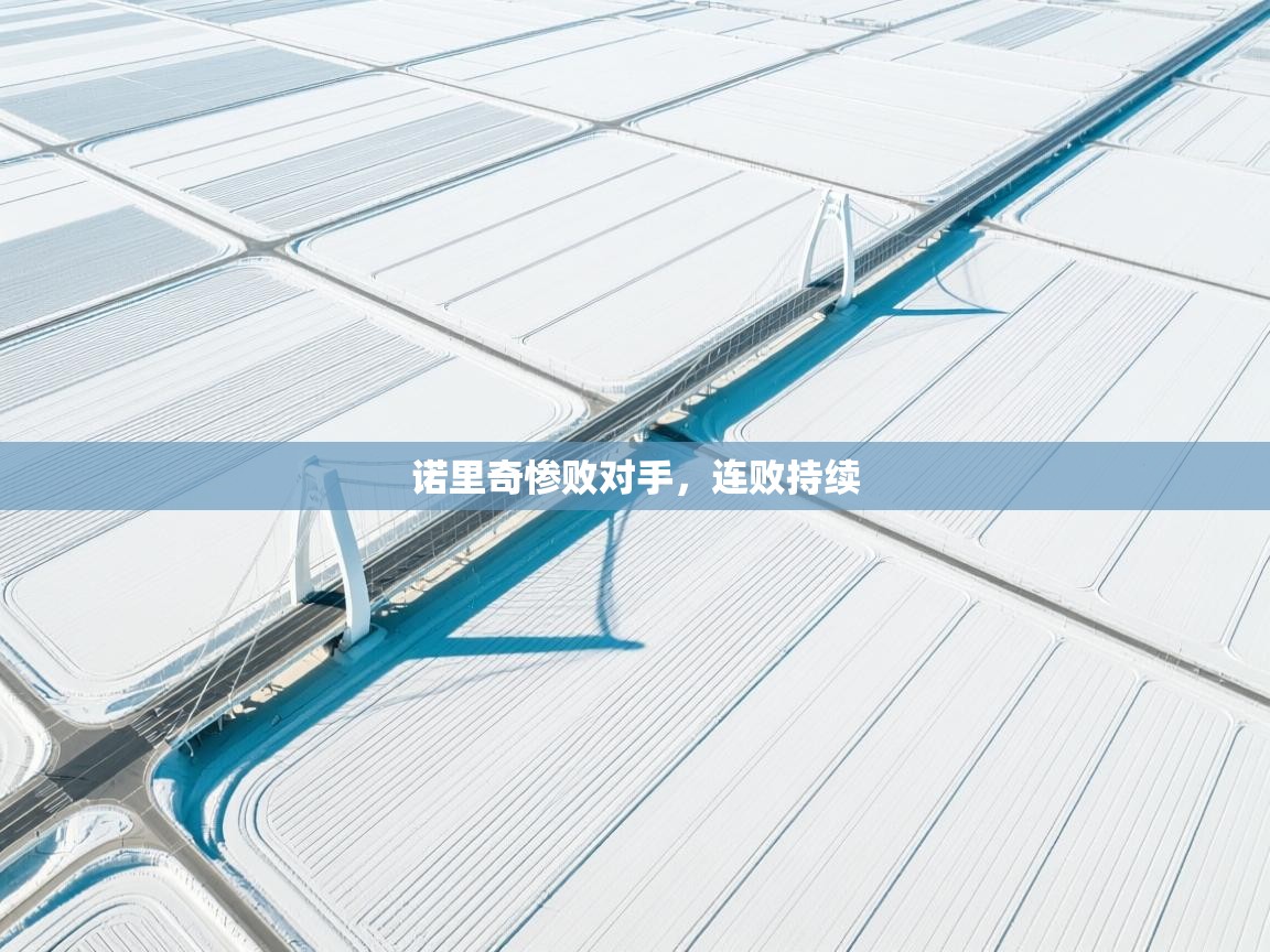 诺里奇惨败对手,连败持续 第2张