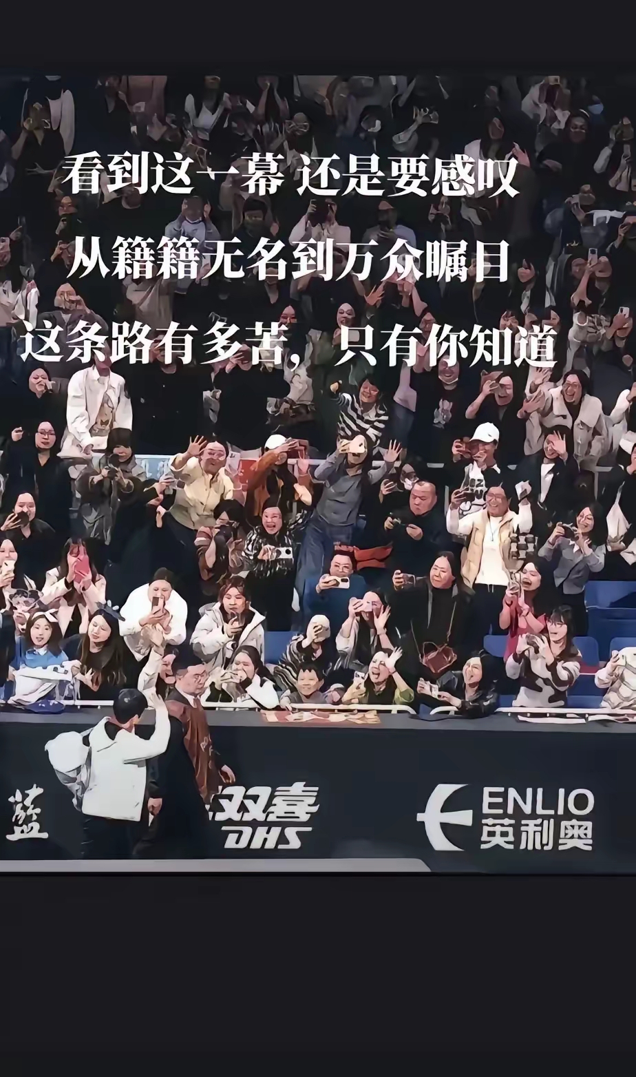 绿紫黑白四强争霸，场上拼尽全力，四面楚歌谁能脱颖而出的简单介绍